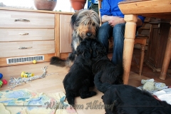 D-Wurf-Woche-7-Bild-1
