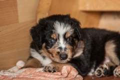 MG_4570-Kopie