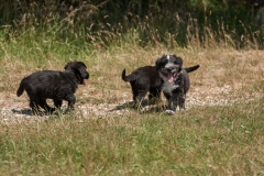 MG_5408-Kopie