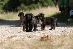 MG_5455-Kopie