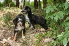 MG_5633-Kopie