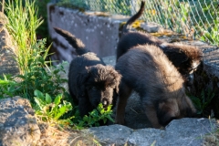 MG_5674-Kopie