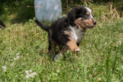 MG_5350-Kopie