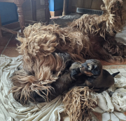 20250607_085718