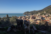 Levanto-portraet