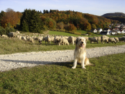 Okt-2006-077-Kopie